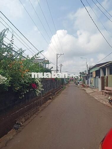 500m2 SR cạnh khu tái định cư mà chỉ 600tr nhỉnh
