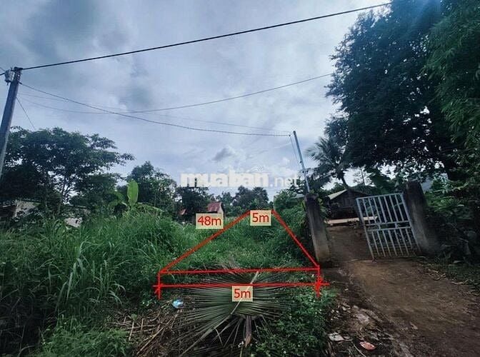 🏡 BÁN ĐẤT THỔ CƯ TẠI PHƯỜNG THÀNH NHẤT – ĐĂK LĂK.