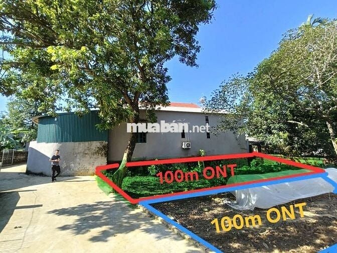 BÁN ĐẤT GIÁ TỐT – HIẾM CÓ KHÓ TÌM 🌟 BÁN ĐẤT GIÁ TỐT – HIẾM CÓ KHÓ TÌM 🌟