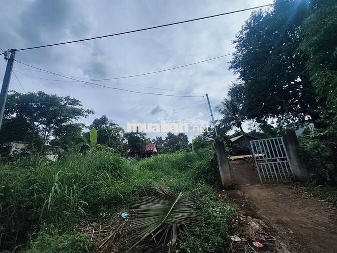 🏡 BÁN ĐẤT THỔ CƯ TẠI PHƯỜNG THÀNH NHẤT – ĐĂK LĂK.