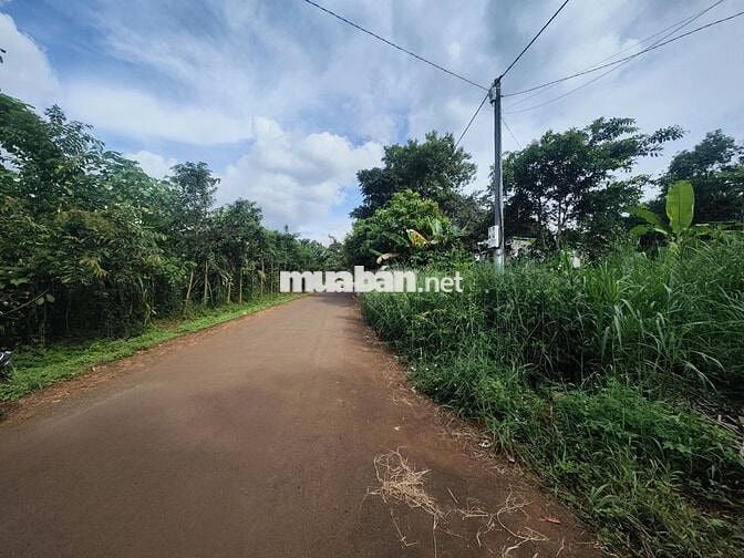 🏡 BÁN ĐẤT THỔ CƯ TẠI PHƯỜNG THÀNH NHẤT – ĐĂK LĂK.