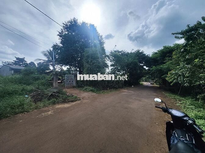 🏡 BÁN ĐẤT THỔ CƯ TẠI PHƯỜNG THÀNH NHẤT – ĐĂK LĂK.