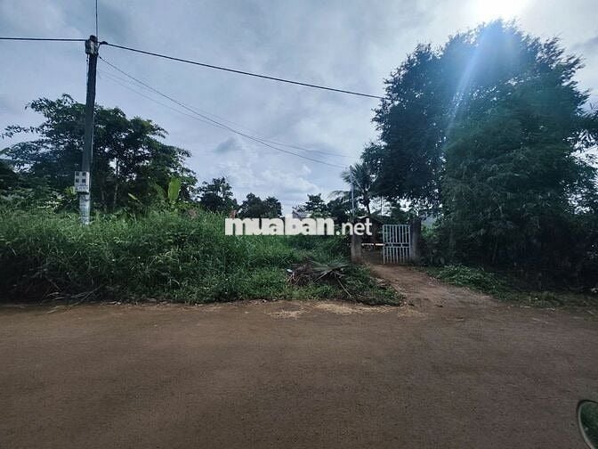🏡 BÁN ĐẤT THỔ CƯ TẠI PHƯỜNG THÀNH NHẤT – ĐĂK LĂK.
