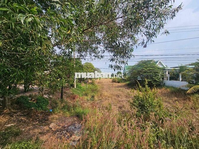 Bán đất MT quốc lộ 62, Long An, DT: 1071m2, Giá: 3 tỷ