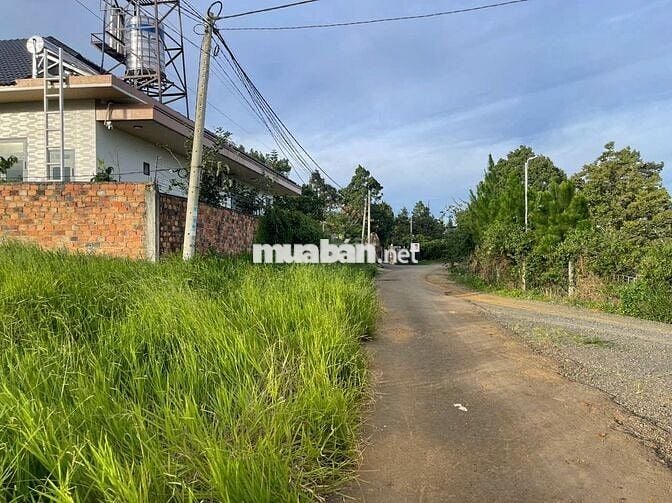 ĐẤT TRUNG TÂM LỘC SƠN - BẢO LỘC - DT 238M2 - 200 THỔ CƯ GẦN HOME LÁ ĐỎ
