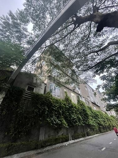 Bán nhà ngõ 5 Hoàng Quốc Việt quy hoạch mặt phố vuông chằn chặn 9m MT