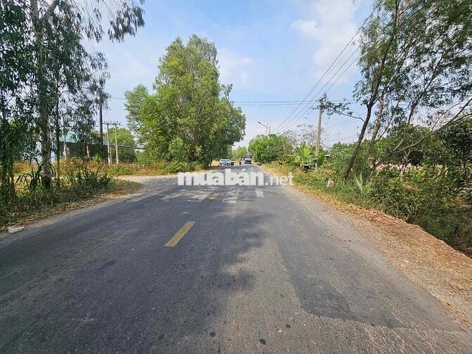 Bán đất MT quốc lộ 62, Long An, DT: 1071m2, Giá: 3 tỷ