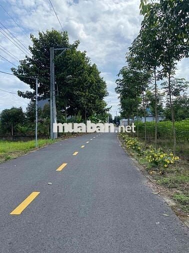 Cần bán gấp miếng đất mặt tiền đường nhựa 10x50m ở phú giáo bình dương