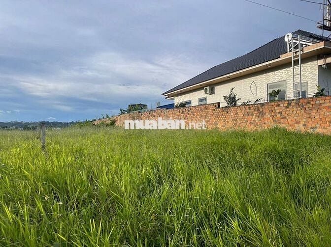 ĐẤT TRUNG TÂM LỘC SƠN - BẢO LỘC - DT 238M2 - 200 THỔ CƯ GẦN HOME LÁ ĐỎ