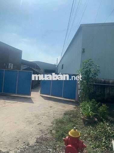 KHO XƯỞNG (1.000m²) MT THẠNH LỘC 15, Q12 cũ