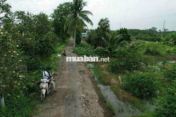 1000m Đất Thổ + Vườn View Kênh Đẹp Vuông Vức