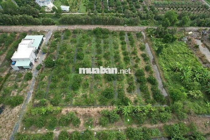 1000m Đất Thổ + Vườn View Kênh Đẹp Vuông Vức