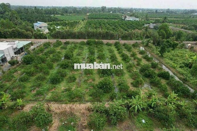 1000m Đất Thổ + Vườn View Kênh Đẹp Vuông Vức