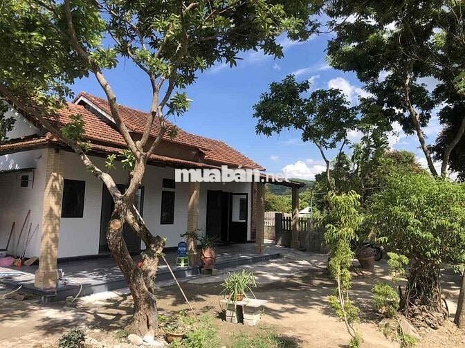 NHÀ ĐẸP TRUNG TÂM TP HUẾ – GIÁ CHỈ 2.5 TỶ