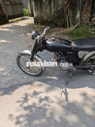 Honda 67