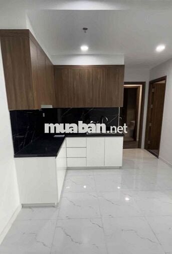 Chính chủ Bán Chung Cư Cao Cấp OPAL SKYLINE - Thuận An BD HCM