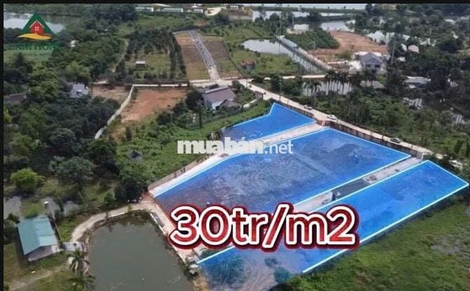 Chỉ với hơn 1 tỷ đã sở hữu 100m2 đất nền ở hòa lạc
