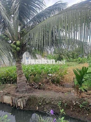 ĐẤT FULL THỔ CỰC HIẾM – THẠNH XUÂN 33 – 200m² – GIÁ CHỈ 7.3 TỶ