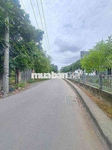 ĐẤT FULL THỔ CỰC HIẾM – THẠNH XUÂN 33 – 200m² – GIÁ CHỈ 7.3 TỶ