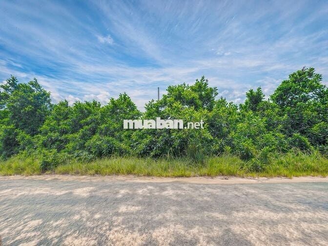 BÁN GẤP LÔ ĐẤT 18.806m² – MẶT TIỀN LÊ ĐỨC THỌ Ở LAGI