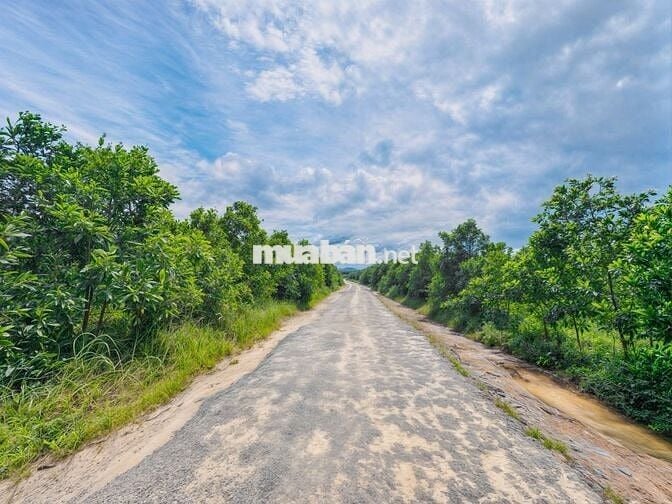 BÁN GẤP LÔ ĐẤT 18.806m² – MẶT TIỀN LÊ ĐỨC THỌ Ở LAGI