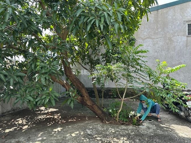 Bán nhà cấp 4, Diện tích 168 mét, Giá 9 Tỷ. Bán nhà cấp 4, Diện tích 168 mét, Giá 9 Tỷ.