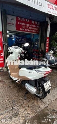 Lead mới ken