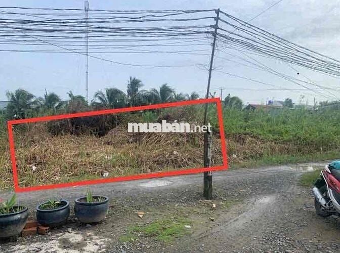 Bán Đất ĐỨC HOÀ SỔ HỒNG RIÊNG GIÁ TỐT 15x35