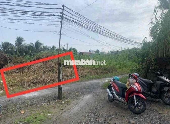 Bán Đất ĐỨC HOÀ SỔ HỒNG RIÊNG GIÁ TỐT 15x35