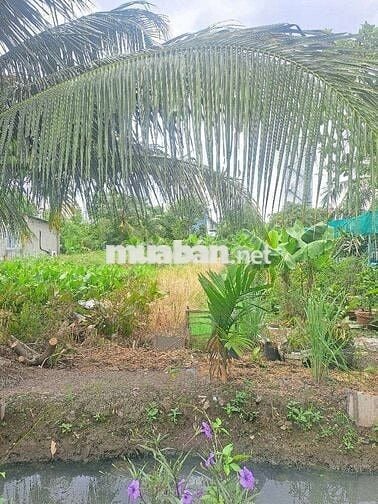 Đất thổ cư 200m2 (7,5x30) hẻm 6m Thạnh Xuân 33,Quan 12 chỉ 7,3T
