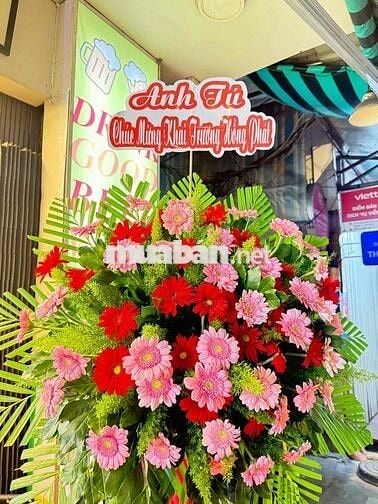 cần sang quán nhậu do sắp sanh em bé