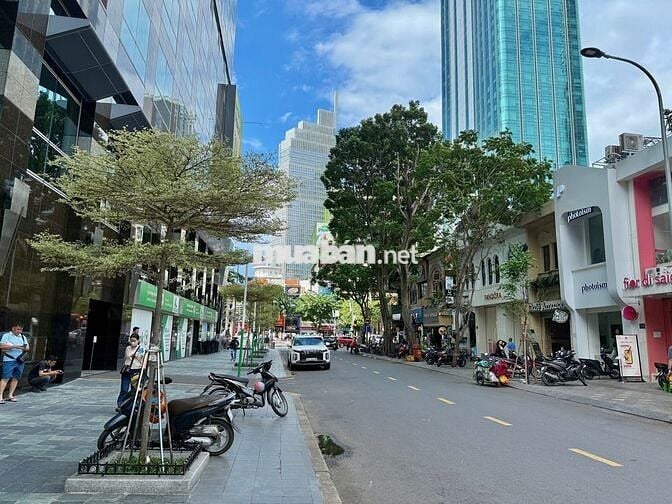 CHO THUÊ NHÀ HỒ TÙNG MẬU. P, BẾN NGHÉ. QUẬN 1
