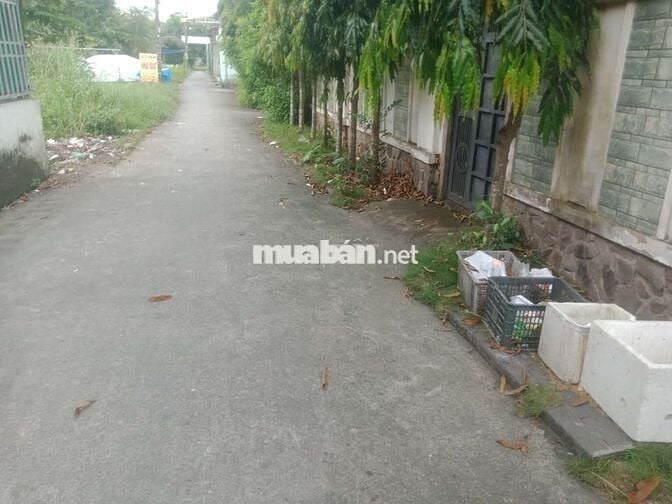 Cần bán miếng đất vườn xã phong phú cũ