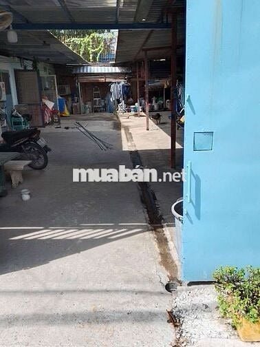 ĐẤT VÀNG MẶT TIỀN – XÂY BIỆT THỰ SIÊU ĐẲNG CẤP–HIỆP BÌNH CHÁNH-224 M2