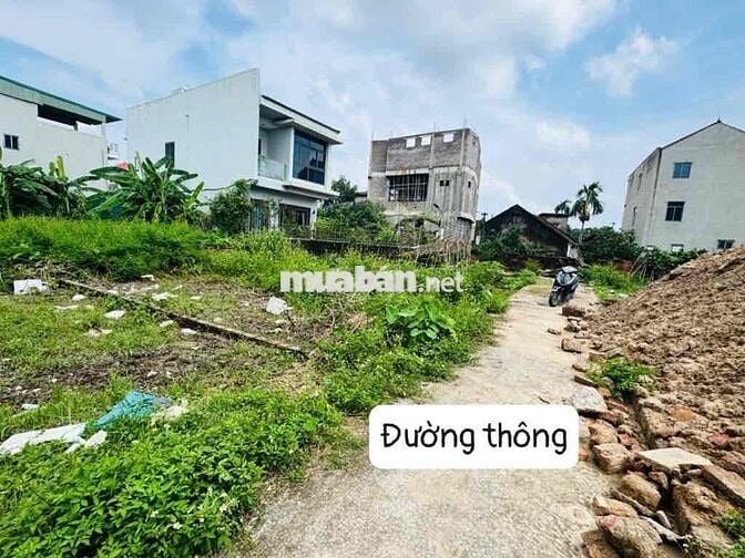 🔥 SIÊU PHẨM XINH XẮN – ĐẤT ĐẸP 45M² VÂN NỘI – GẦN CẦU NHẬT TÂN
