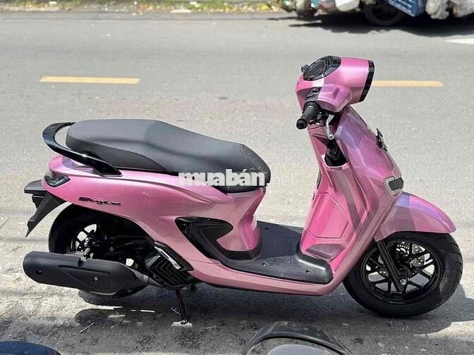 stylo new new