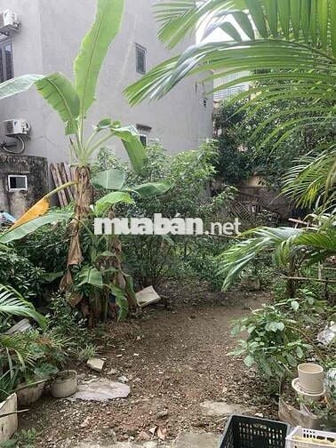 Đất Liên Mạc - 52m2 - ngõ ba gác - giá đầu tư