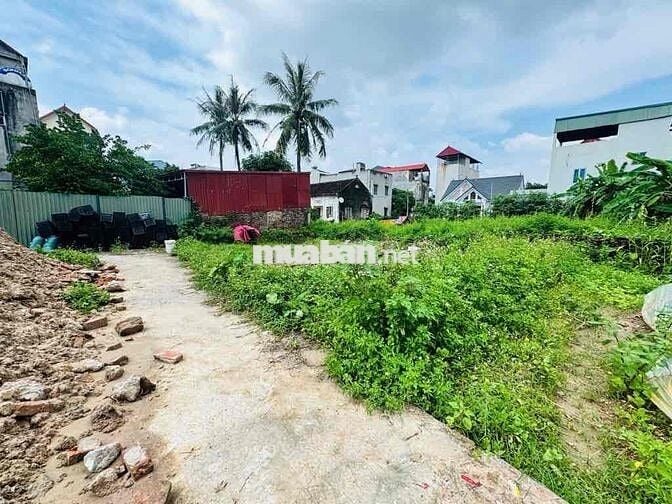 🔥 SIÊU PHẨM XINH XẮN – ĐẤT ĐẸP 45M² VÂN NỘI – GẦN CẦU NHẬT TÂN