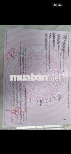 Đất phường Bình Dương - đường Nhựa giá chỉ 6tr/m còn tl