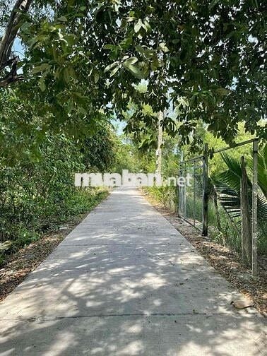 1500m2 ĐẤT THỔ CƯ + 4 NHÀ CẤP 4 – NGAY CHÂN CẦU QL50, BÌNH CHÁNH