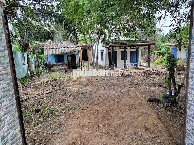 1500m2 ĐẤT THỔ CƯ + 4 NHÀ CẤP 4 – NGAY CHÂN CẦU QL50, BÌNH CHÁNH