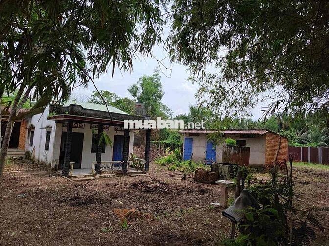1500m2 ĐẤT THỔ CƯ + 4 NHÀ CẤP 4 – NGAY CHÂN CẦU QL50, BÌNH CHÁNH