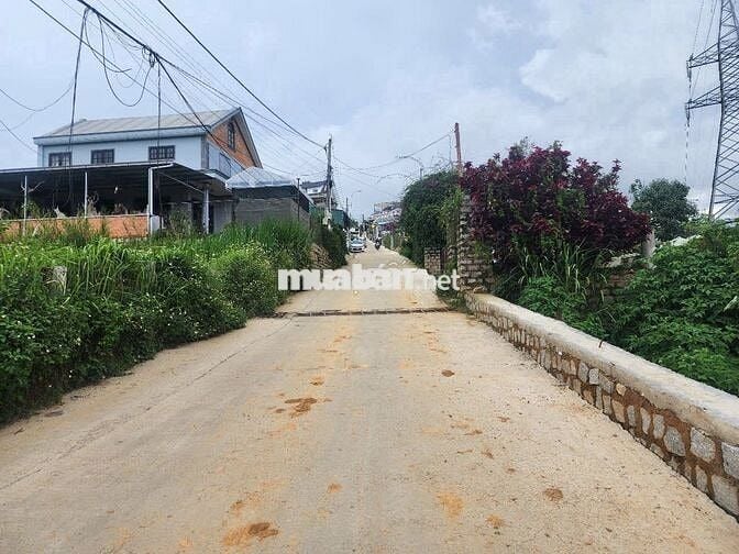 Bán gấp 520m2 đất P10, TP Đà Lạt, hẻm 31 cafe chồn, view rừng thông