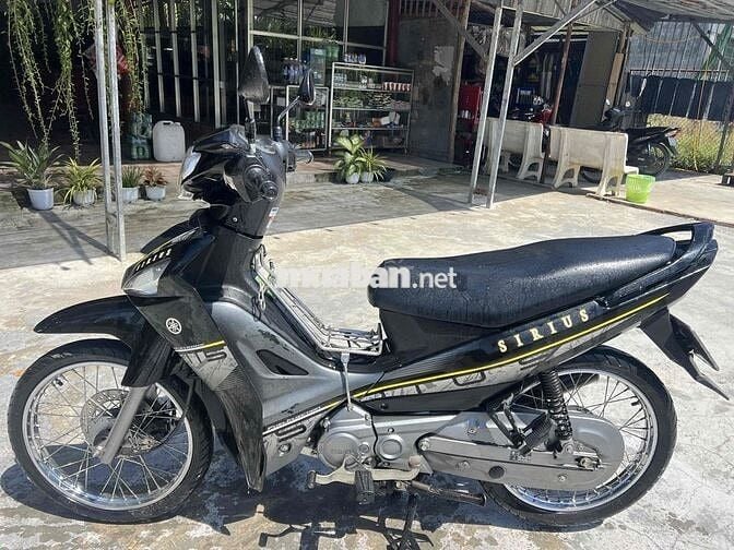 sirus zin 9 chủ