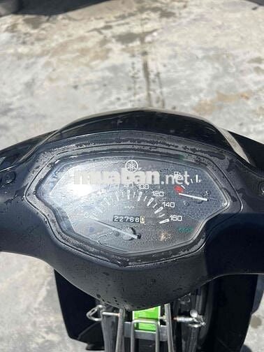 sirus zin 9 chủ