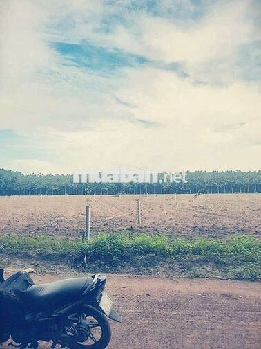 Bán lô đất tp ngay khu công nghiệp