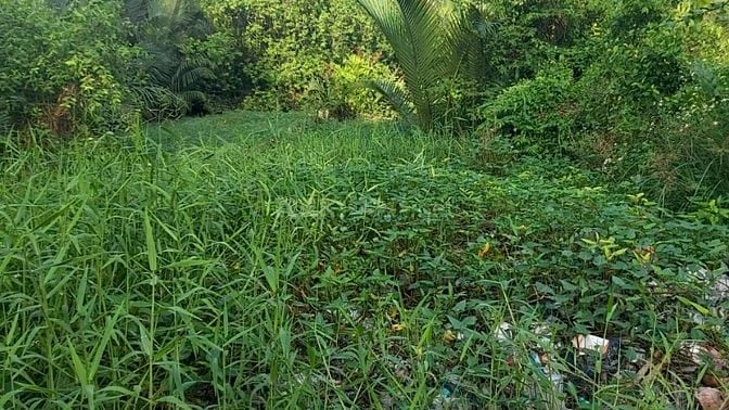 Cần bán thanh lý gấp đất nền đường vườn táo