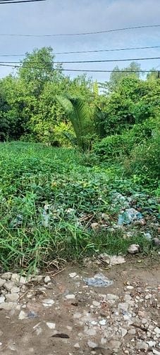 Cần bán thanh lý gấp đất nền đường vườn táo