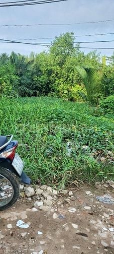 Cần bán thanh lý gấp đất nền đường vườn táo