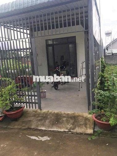 1.79 tỏi / huỳnh thụ hiếu bớt lộc